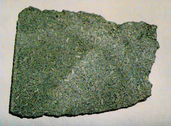 Zagami Martian Achondrites Meteorite