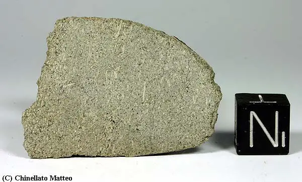 Zagami Martian Meteorite