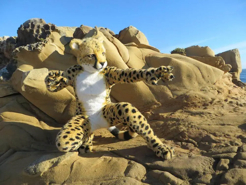 Primal Visions Cheetah