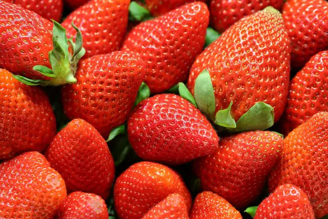 Why are strawberries so expensive？