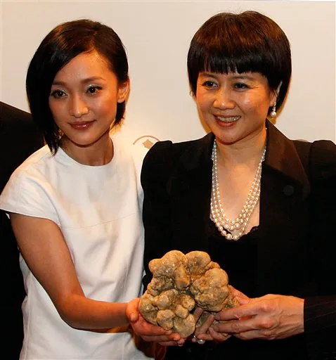 The 2.2lbs white truffle of 2008