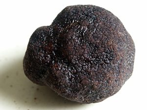 Top 10 Most Expensive Truffle in the World