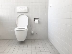 Top 10 Most Expensive Toilet in the World