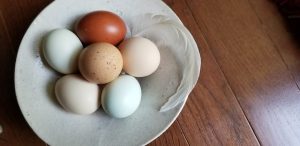 Why are brown eggs more expensive?