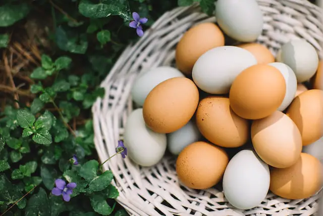 Why are eggs so expensive right now?