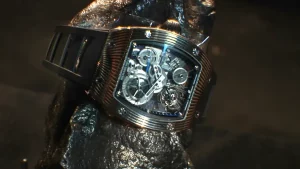 Meteorite Watch RM-018