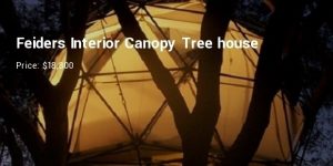 Feider's Interior Canopy Treehouse