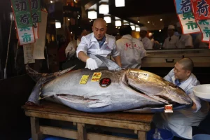 The Tuna King’s Bluefin Tuna