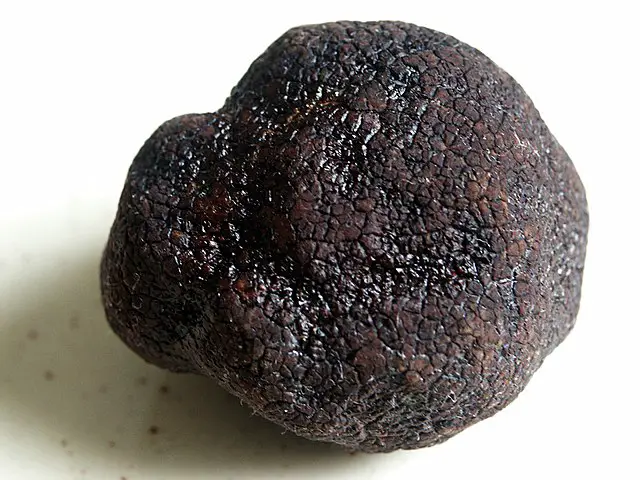 Top 10 Most Expensive Truffles in the World