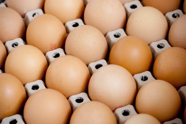 Why Are Eggs So Expensive In Iowa?